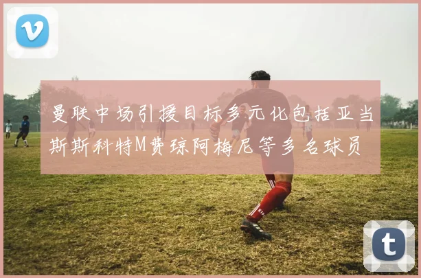 曼联中场引援目标多元化包括亚当斯斯科特M费琼阿梅尼等多名球员