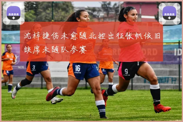 沈梓捷伤未愈随北控出征张帆依旧缺席未随队参赛