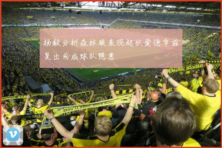 杨毅分析森林狼表现起伏爱德华兹复出或成球队隐患